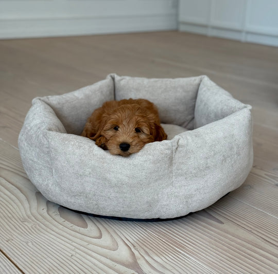 Pelle hundekurven - Beige