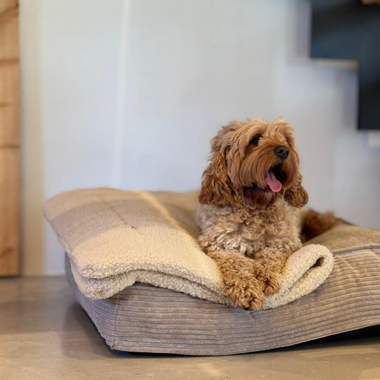 Frede hundekurven / Beige
