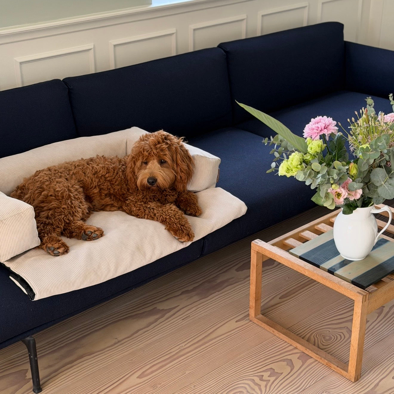 Olaf hundekurven til sofaen - smal fløjl