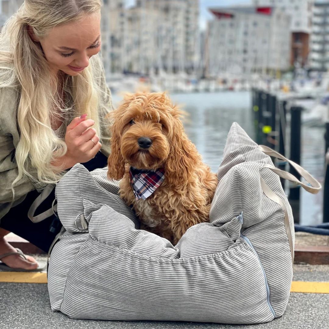 Bjørk bilsædet til hunde i Grå - smal fløjl
