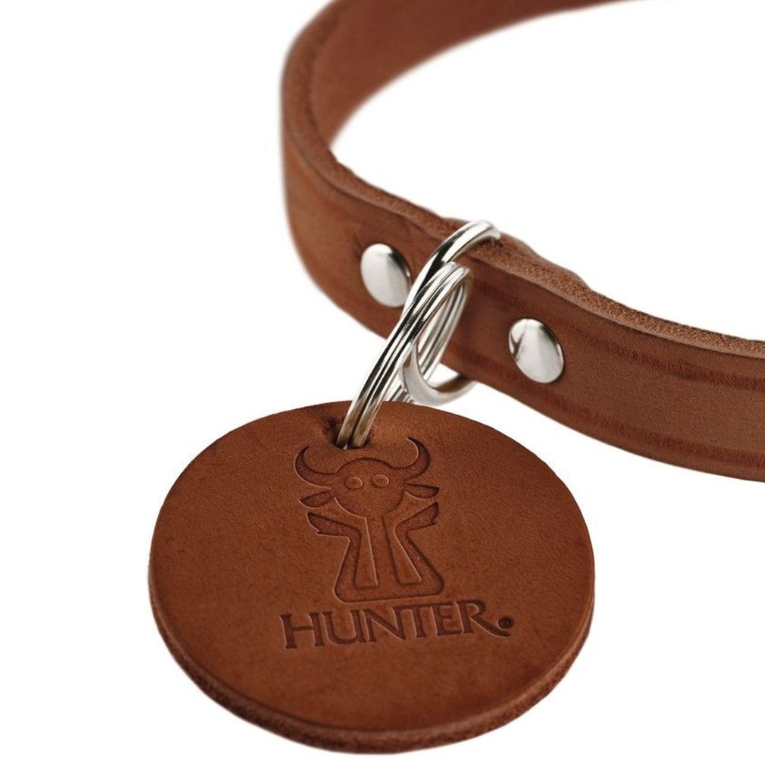 Hundehalsbånd i Cognac farvet læder