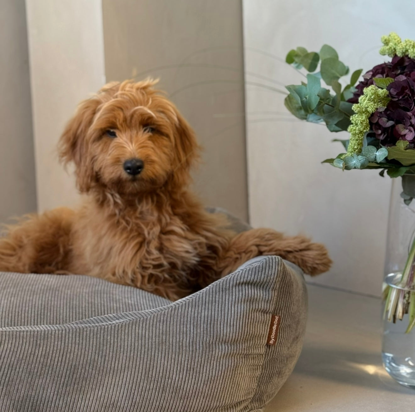 Bjørk hundekurv / smal fløjl - grå