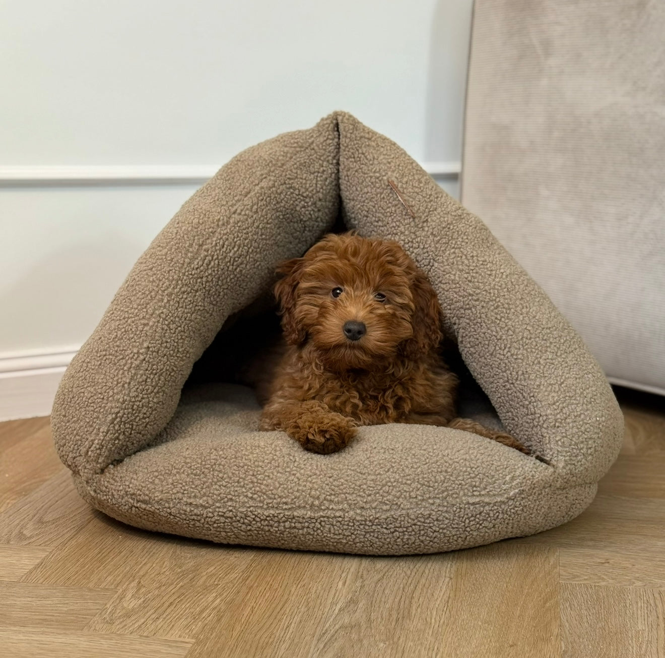 Elfe hule hundekurven /  natur brun