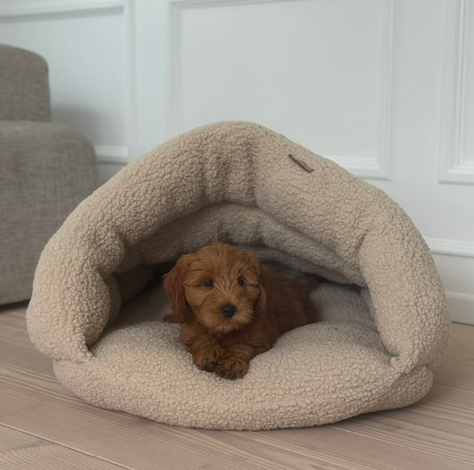Elfe hule hundekurven