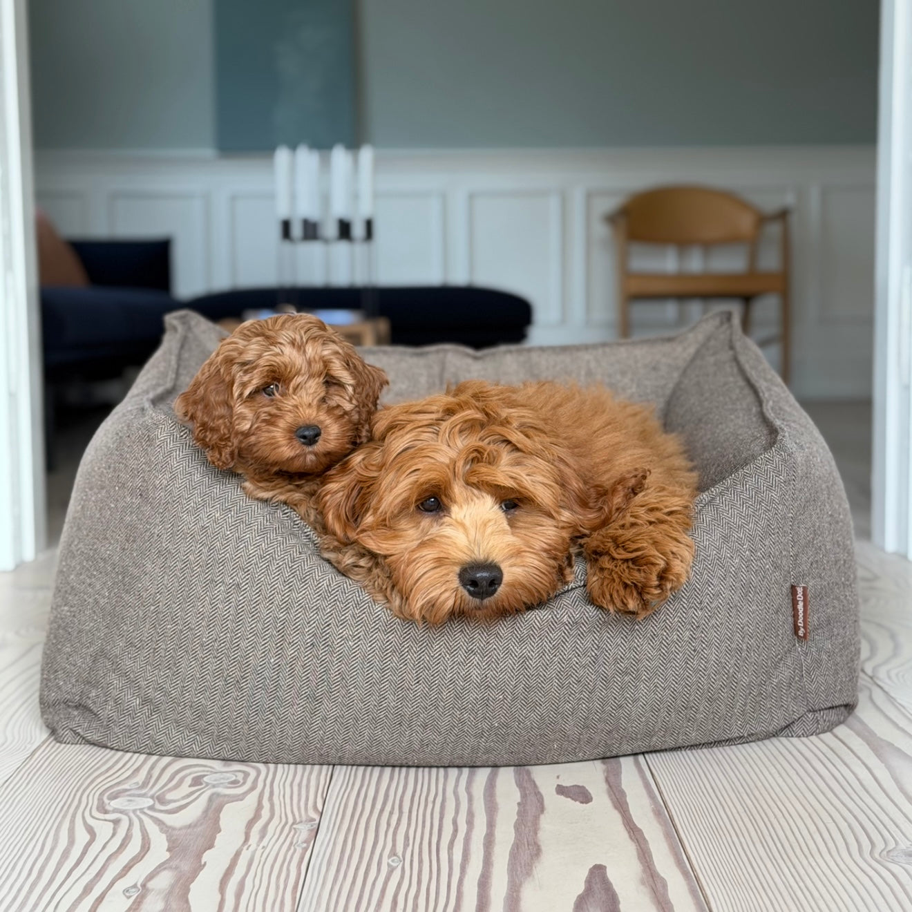 Carl hundekurven i brun - tweed