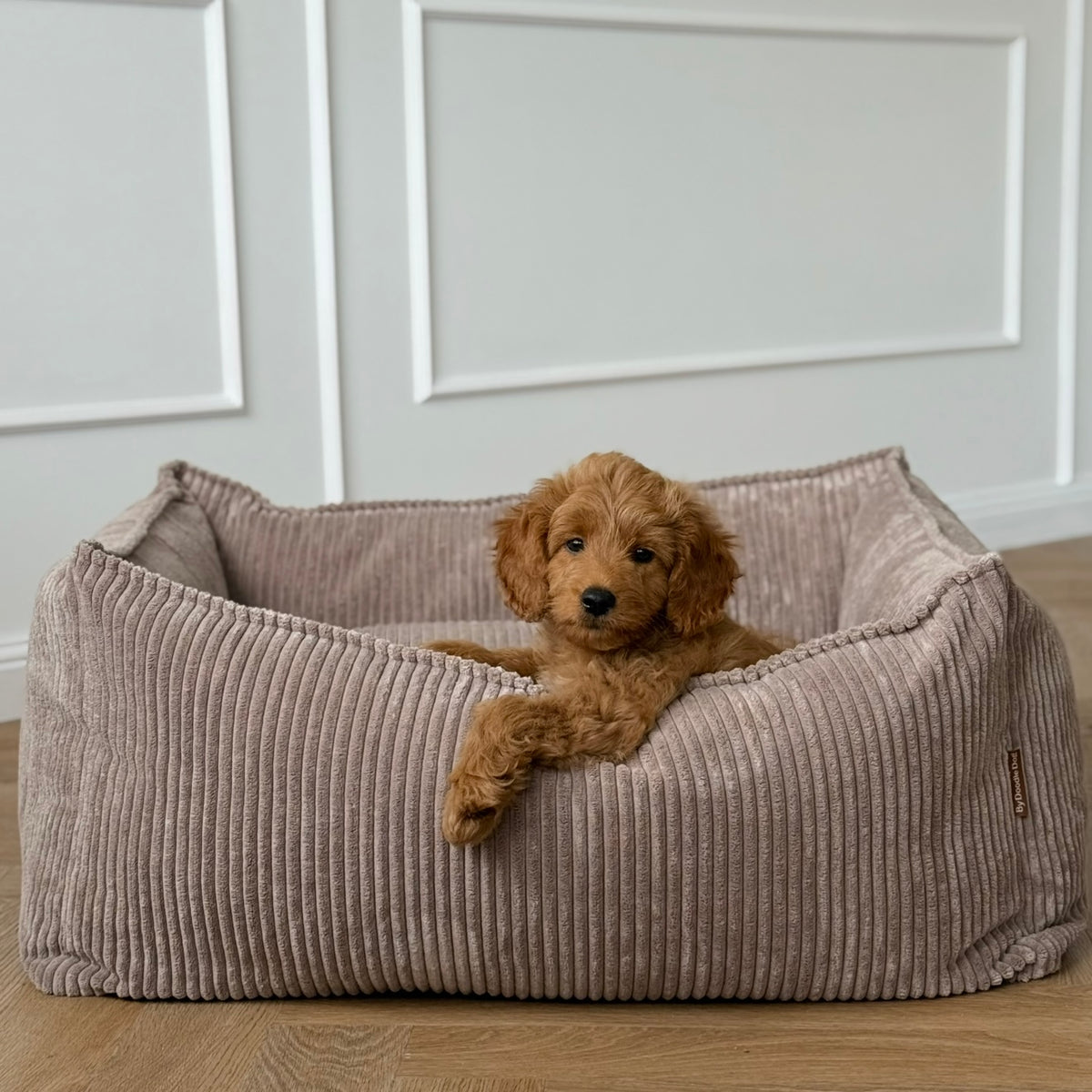 Carl hundekurven / lys brun bred fløjl