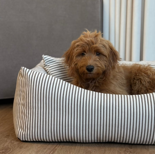 Eigil hundekurven m. Hygge Puder