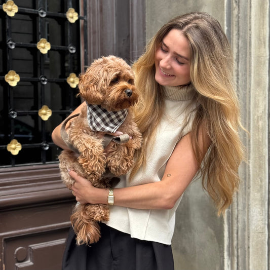 Bandana / ternet - brun/beige