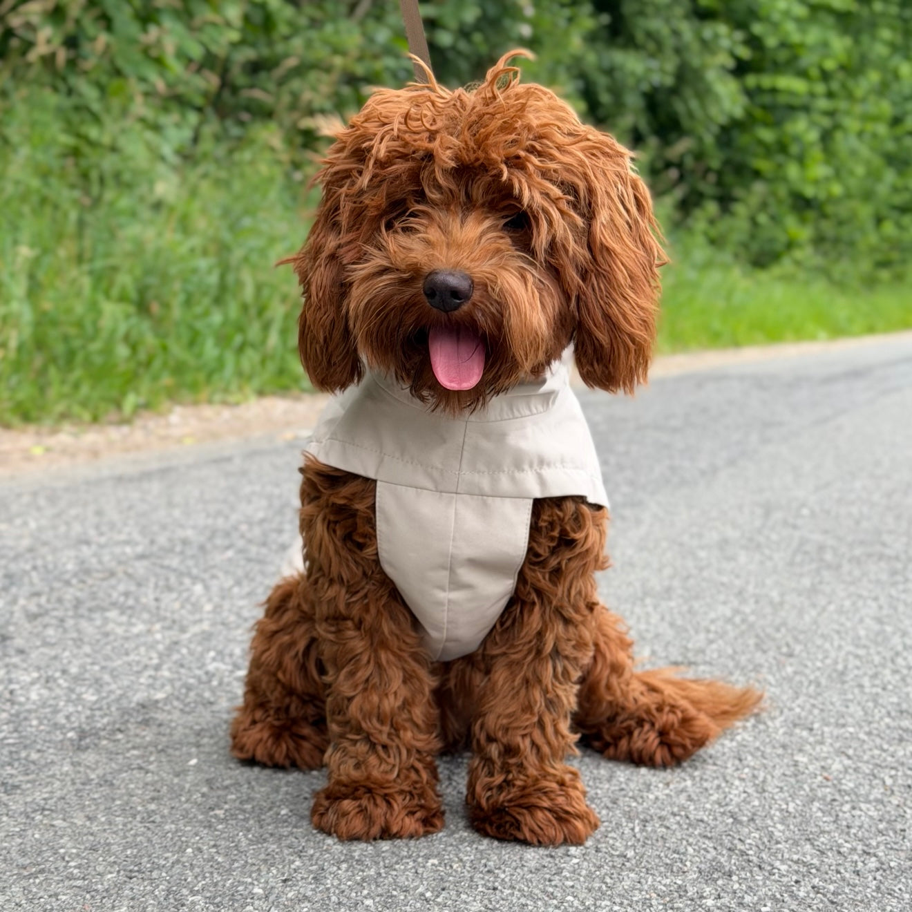 By Doodle Dogs regnjakke i beige