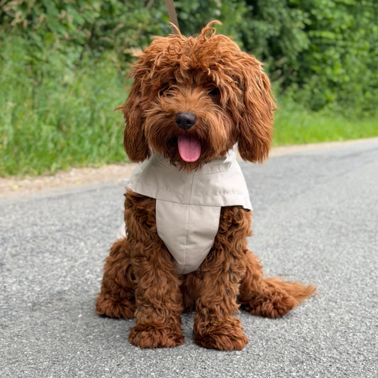 By Doodle Dogs regnjakke i beige
