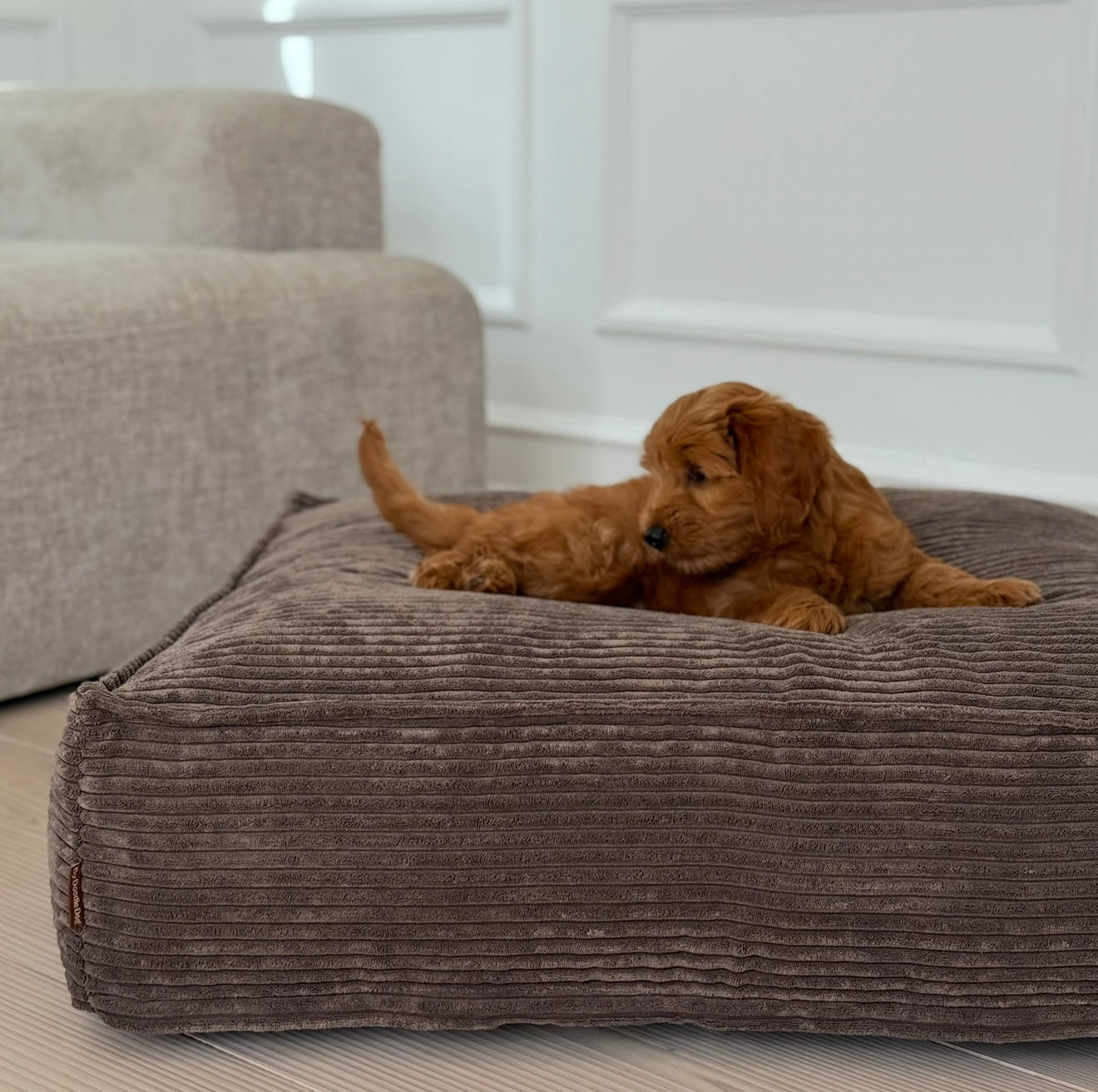 Frede hundekurven / Mørk brun