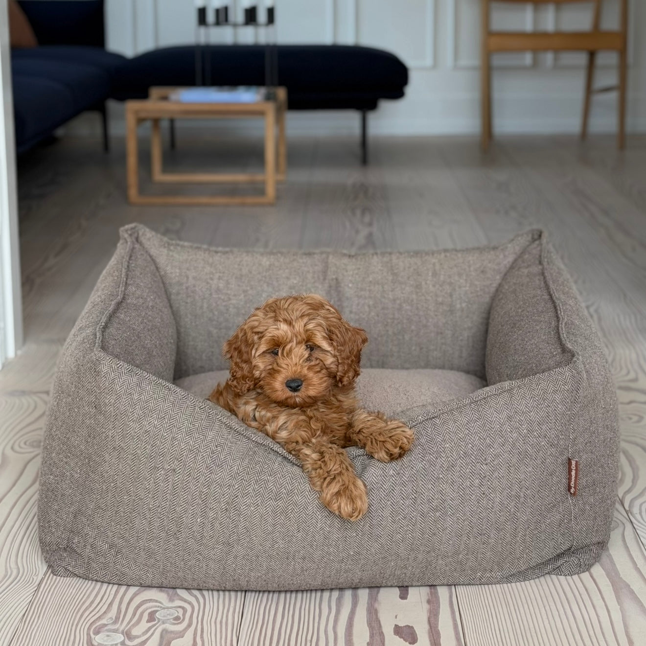 Carl hundekurven i brun - tweed