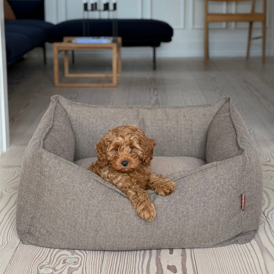 CARL HUNDEKURVEN / BRUN TWEED
