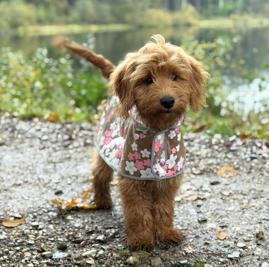 Regnjakke til hund m. Blomster / pink