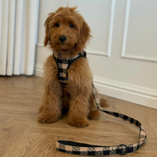 Nora ternet kropssele sort/beige