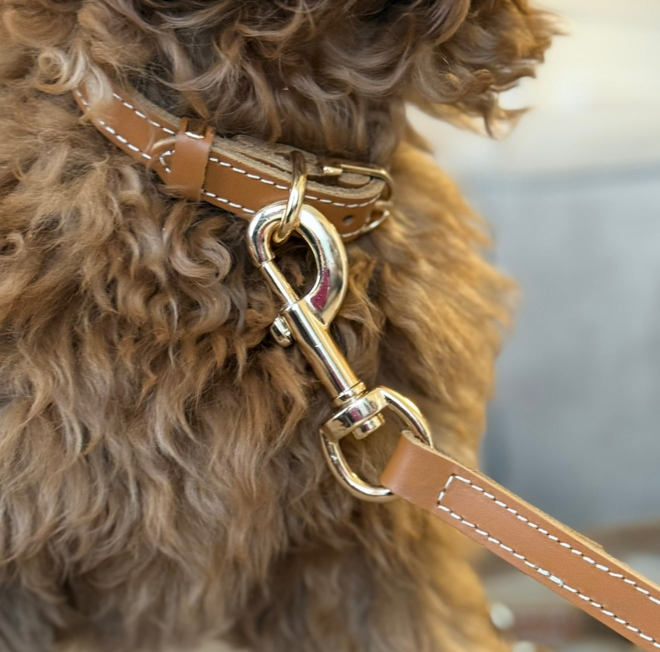 Hundesnor i cognac læder 140 cm