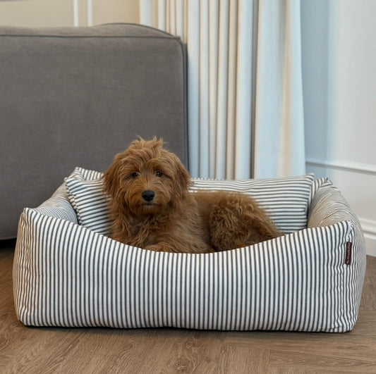 Eigil hundekurven m. Hygge Puder