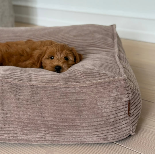 Frede hundekurven / Lys brun