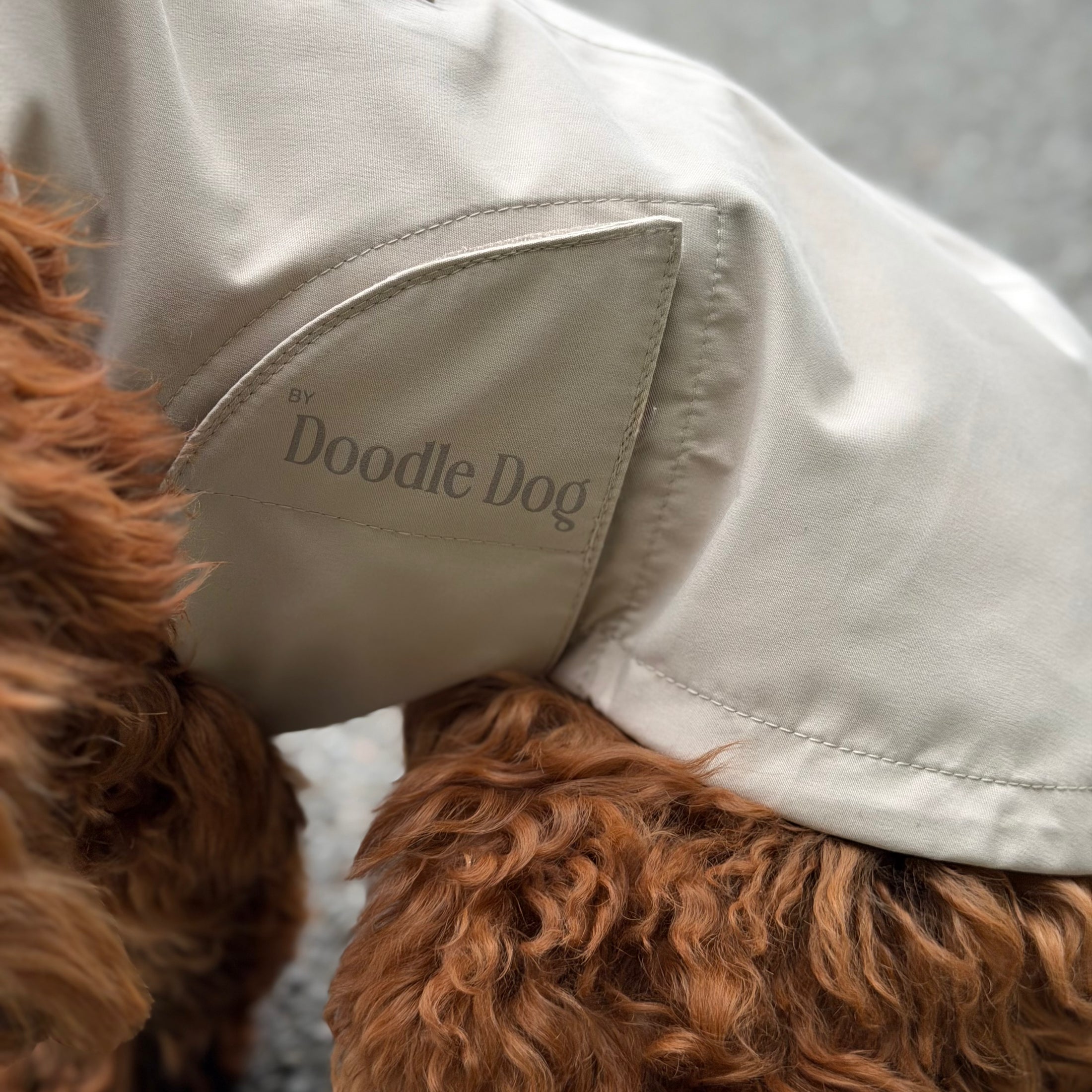 By Doodle Dogs regnjakke i beige