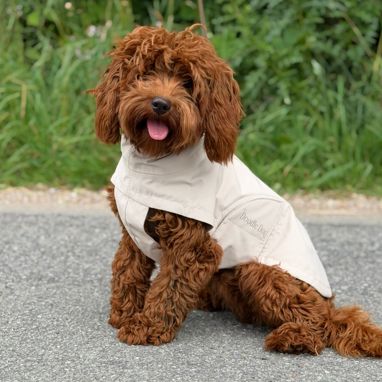 By Doodle Dogs regnjakke i beige