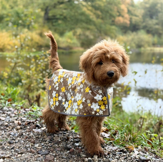 Regnjakke til hund m. Blomster / gul