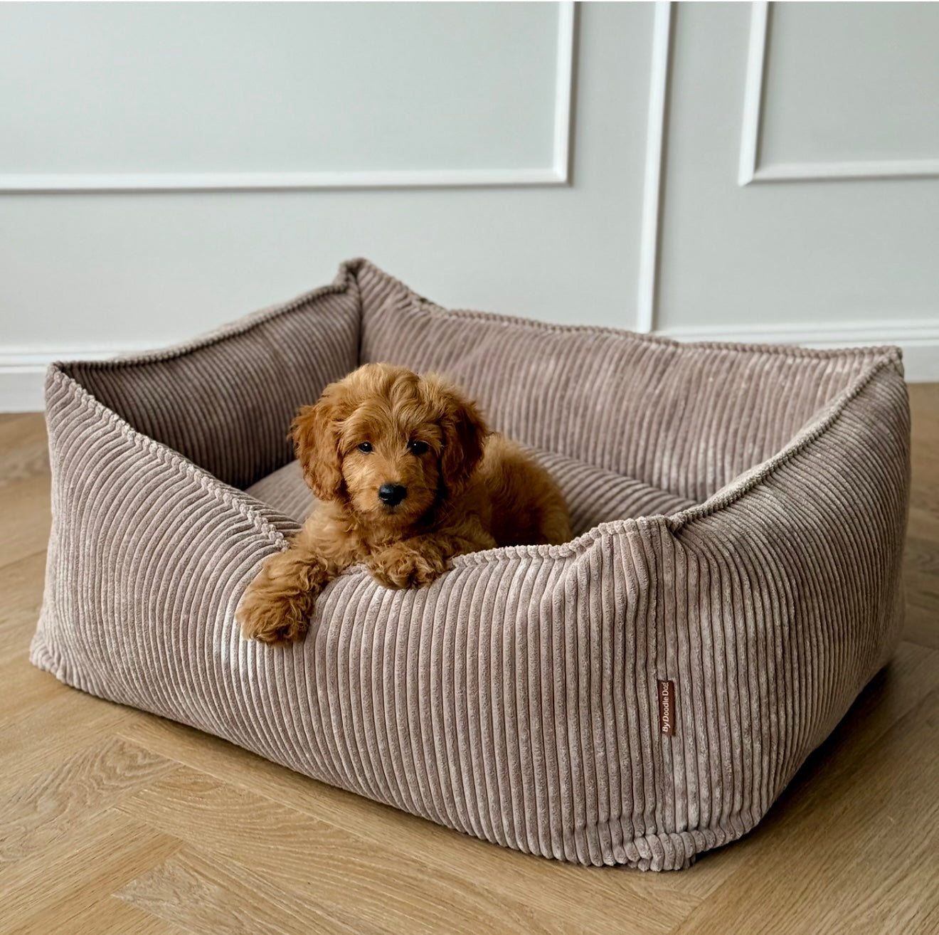 Carl hundekurven / lyd brun bred fløjl