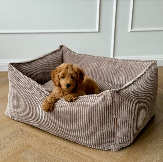 Carl hundekurven / lyd brun bred fløjl