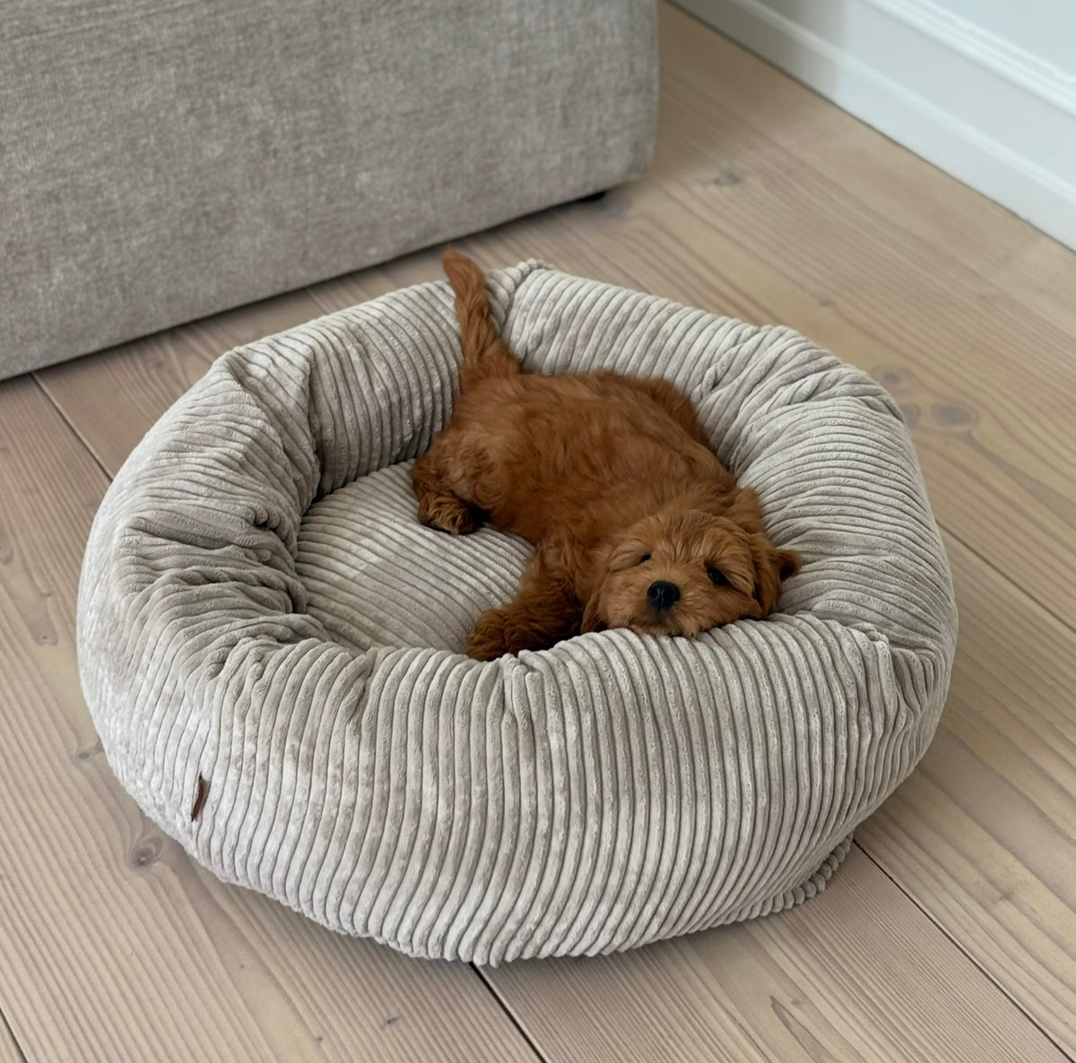 Elva hundekurven i beige - bred fløjl