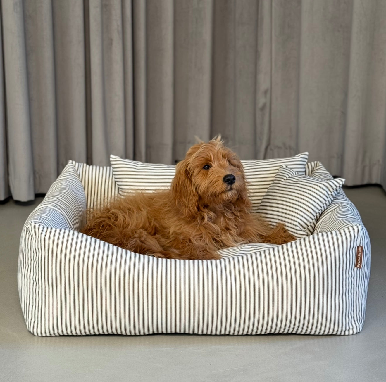 Eigil hundekurven m. Hygge Puder / forudbestilling uge 1