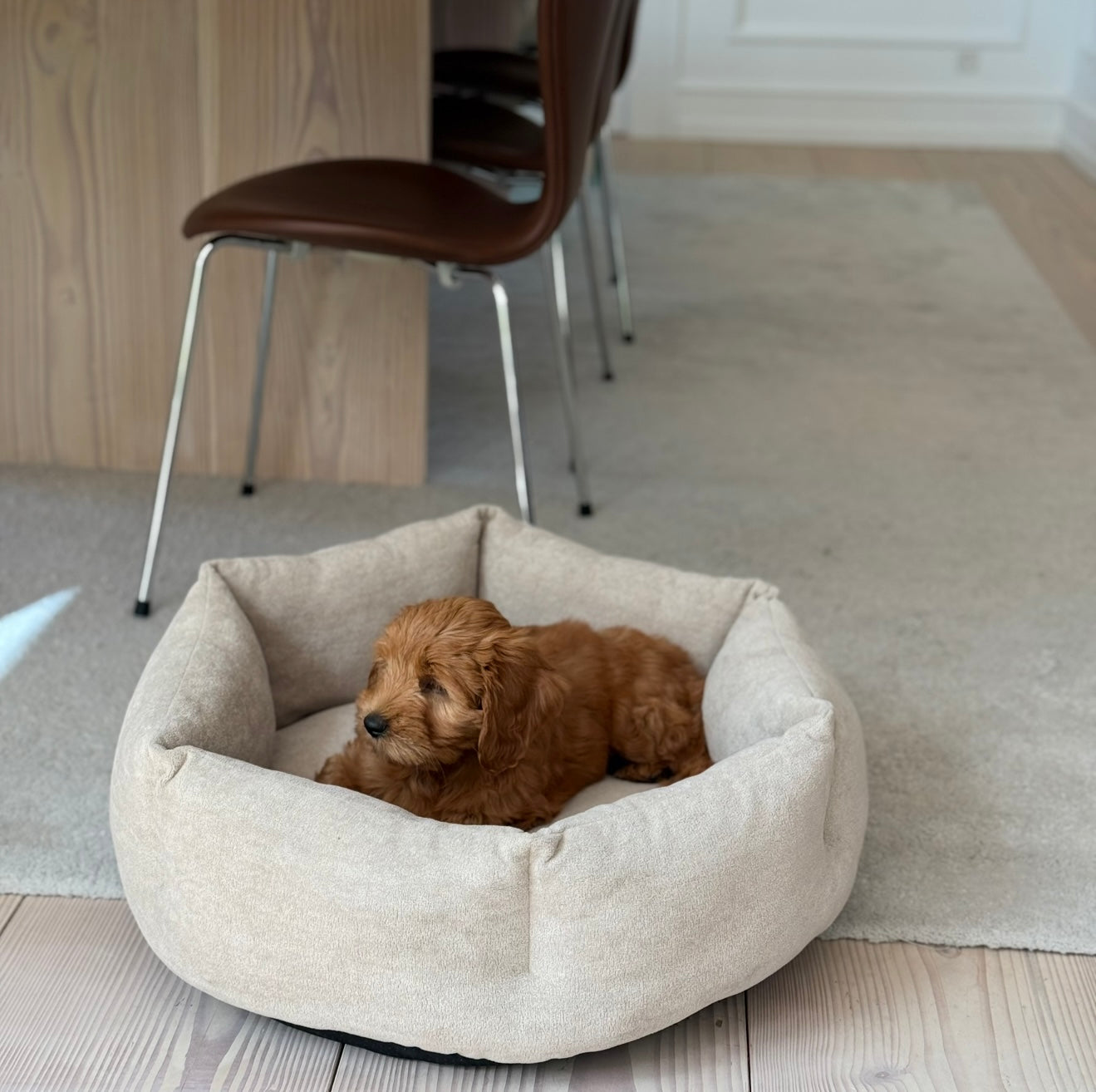 Pelle hundekurven - Beige