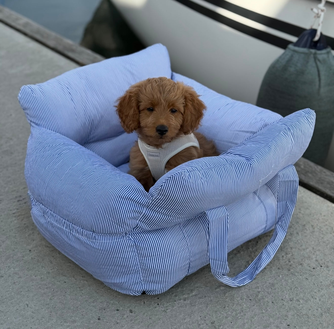 Hjalmar bilsæde - Blå stribet