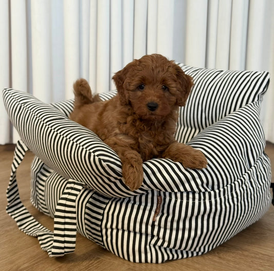 Hjalmar bilsæde sort/creme stribet