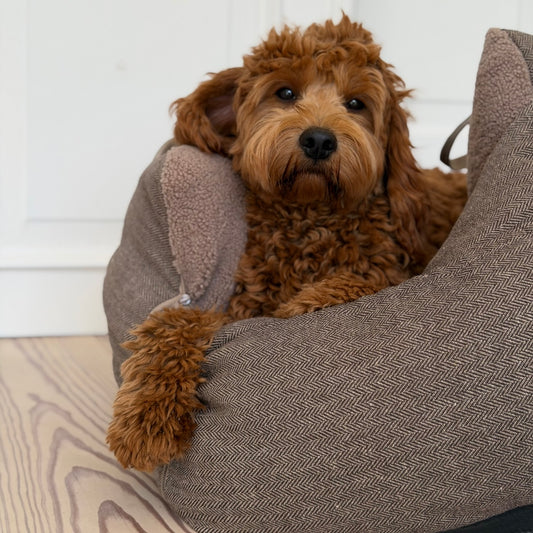 BJØRK BILSÆDEt TIL HUNDE I BRUN TWEED