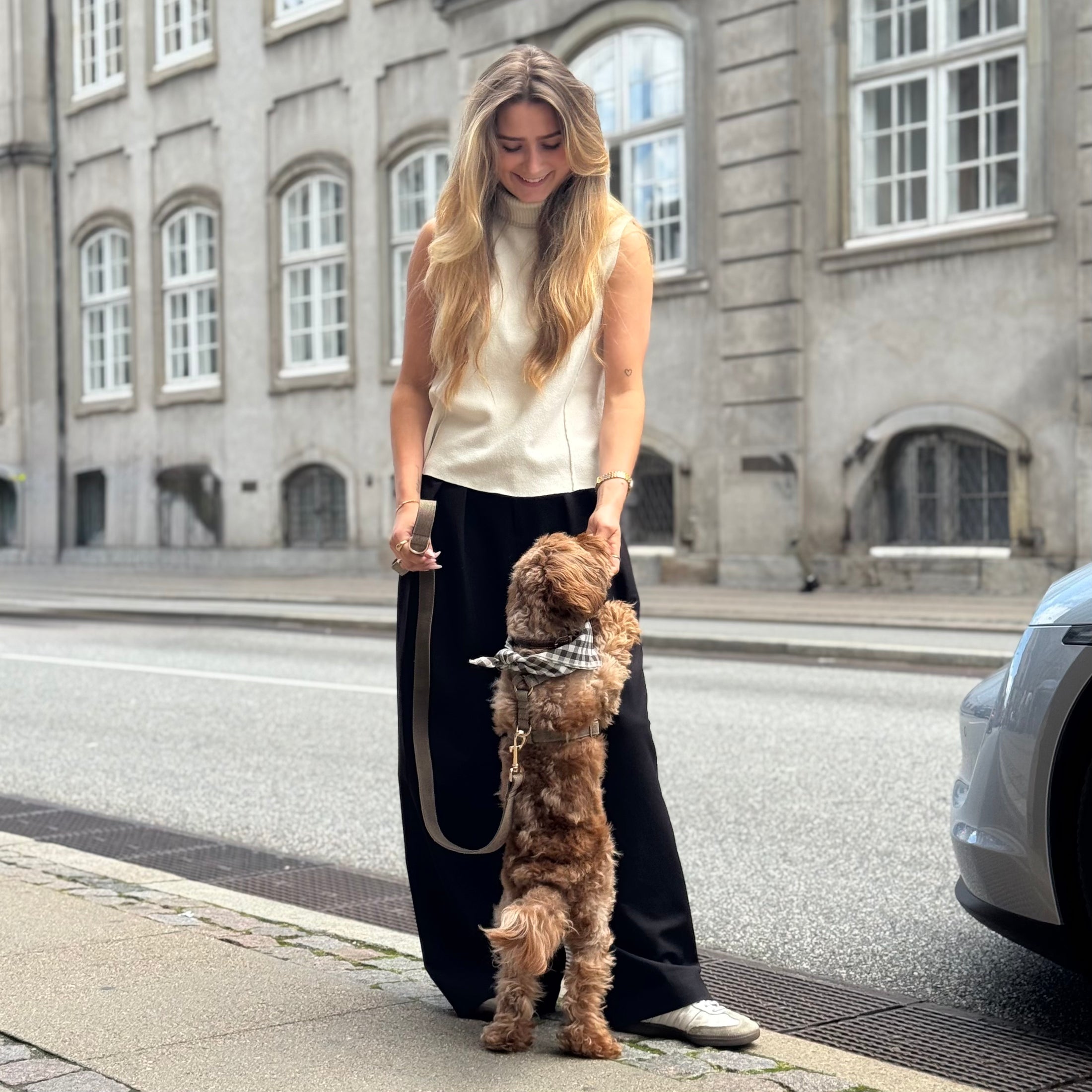 Hundesnoren Ella - tweed