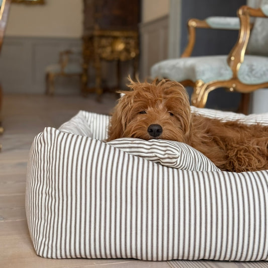Eigil hundekurven m. Hygge Puder