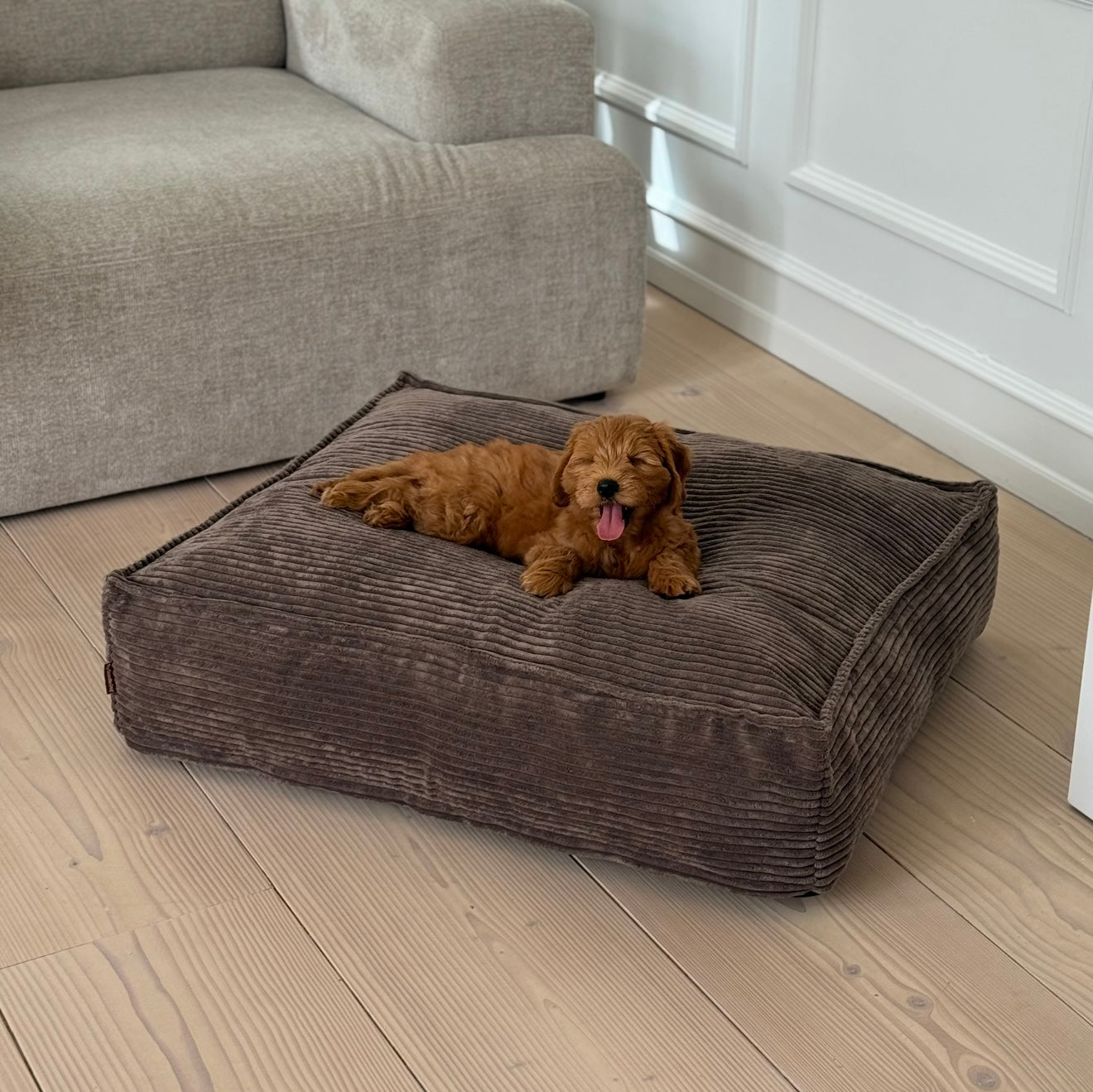 Frede hundekurven / Mørk brun