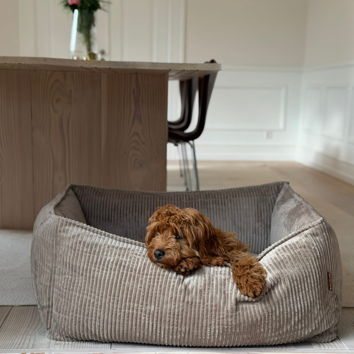 Carl hundekurven / lys brun bred fløjl