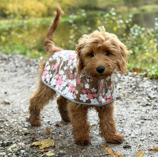 Regnjakke til hund m. Blomster / pink