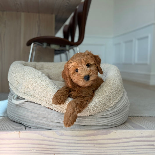 Hanna hundekurven / sherpa fleece / bred fløjl