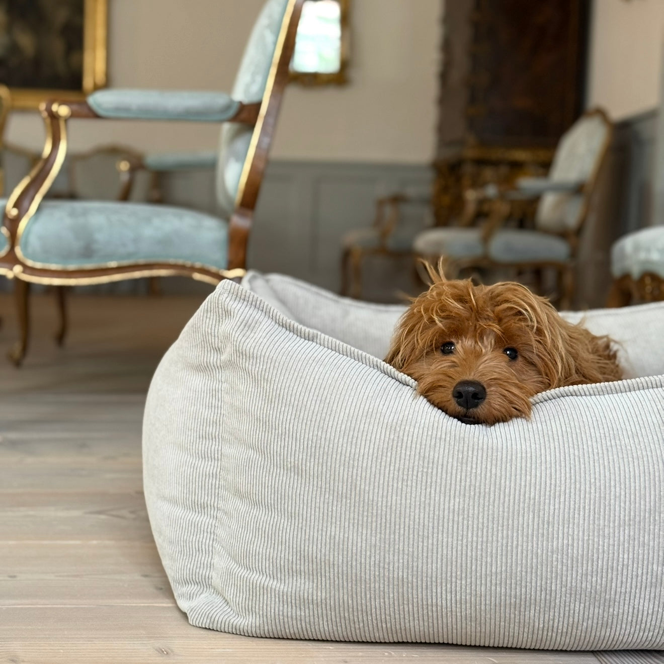 Carl hundekurv - Beige / smal fløjl