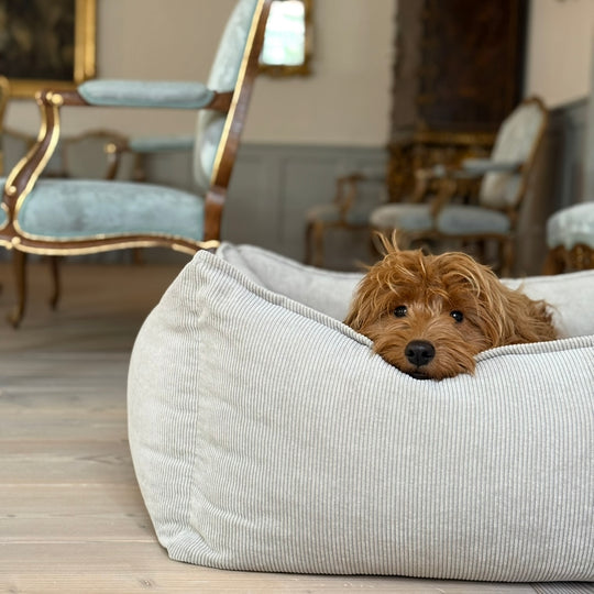 Carl hundekurv - Beige / smal fløjl