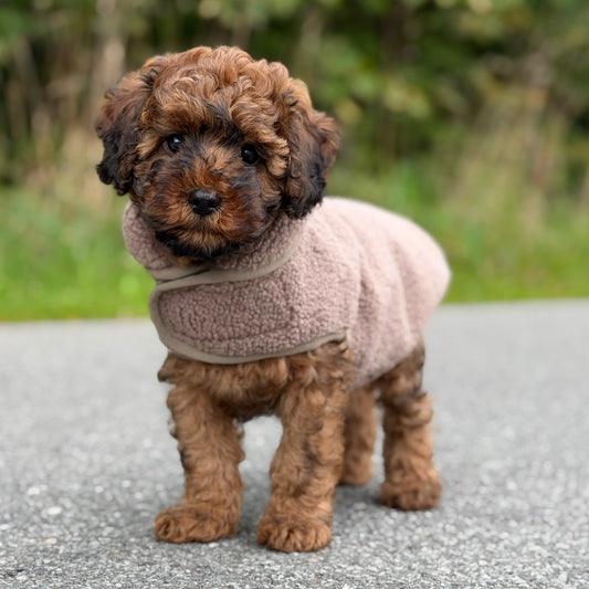 By Doodle Dogs Sherpa fleece trøje