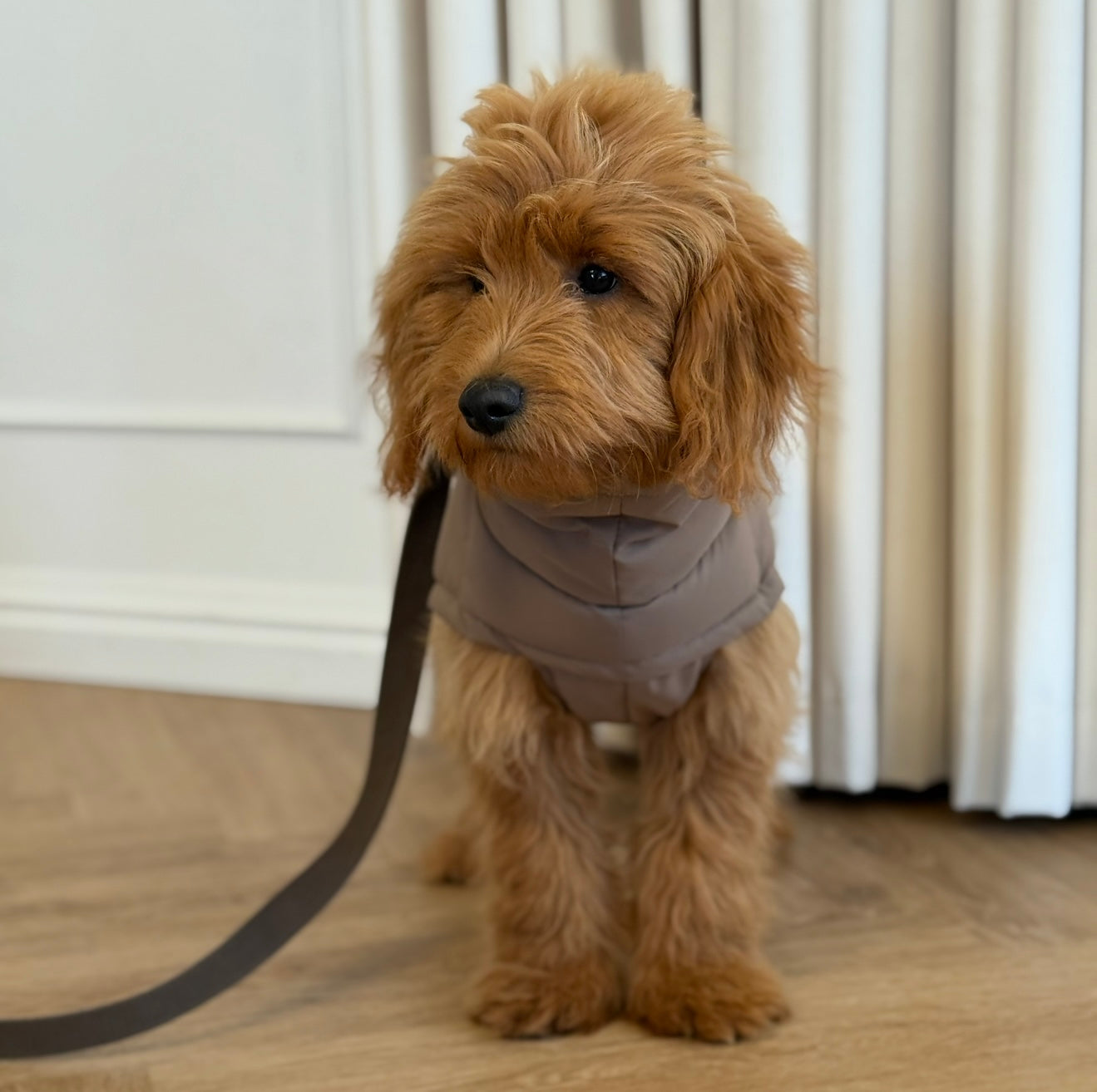 BY DOODLE DOGS EVA HUNDEJAKKE VINTER / Brun