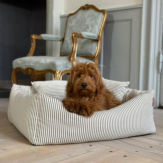 Eigil hundekurven m. Hygge Puder