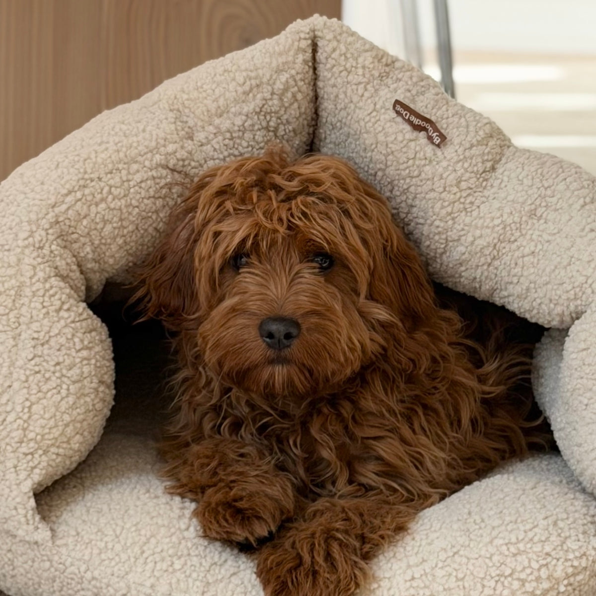 Elfe hule hundekurven i natur - sherpa fleece