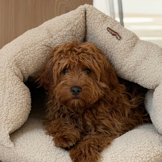 Elfe hule hundekurven i natur - sherpa fleece