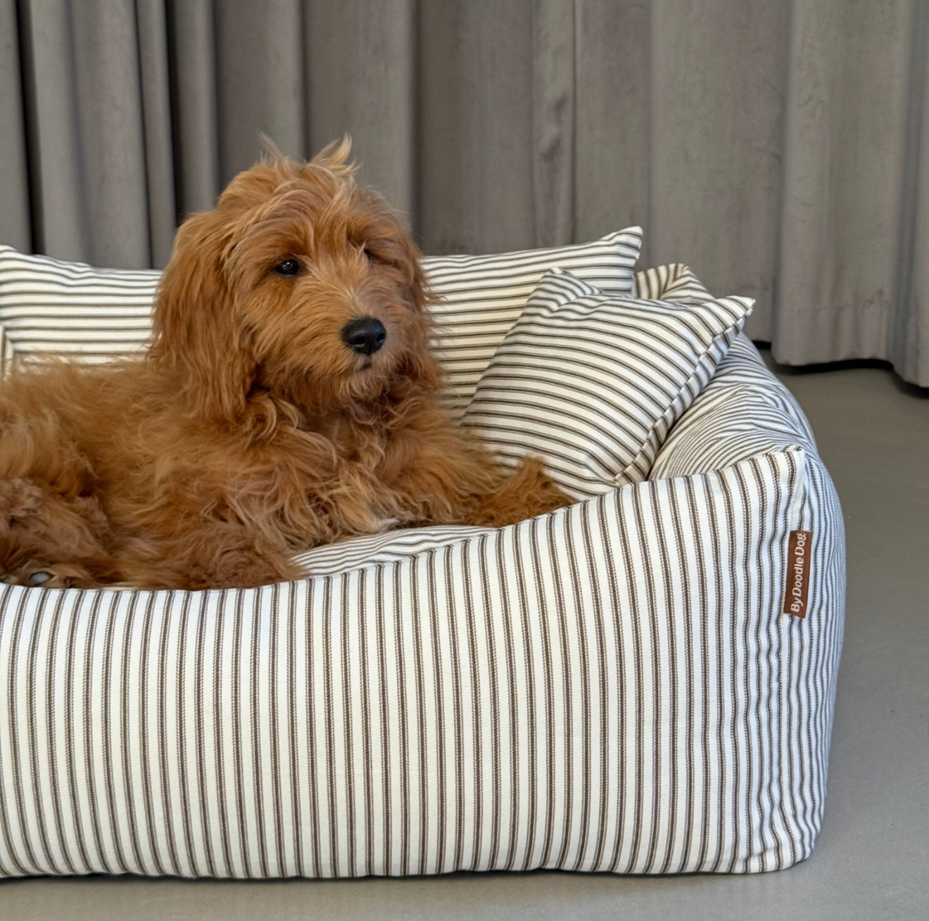 Eigil hundekurven m. Hygge Puder / forudbestilling uge 1