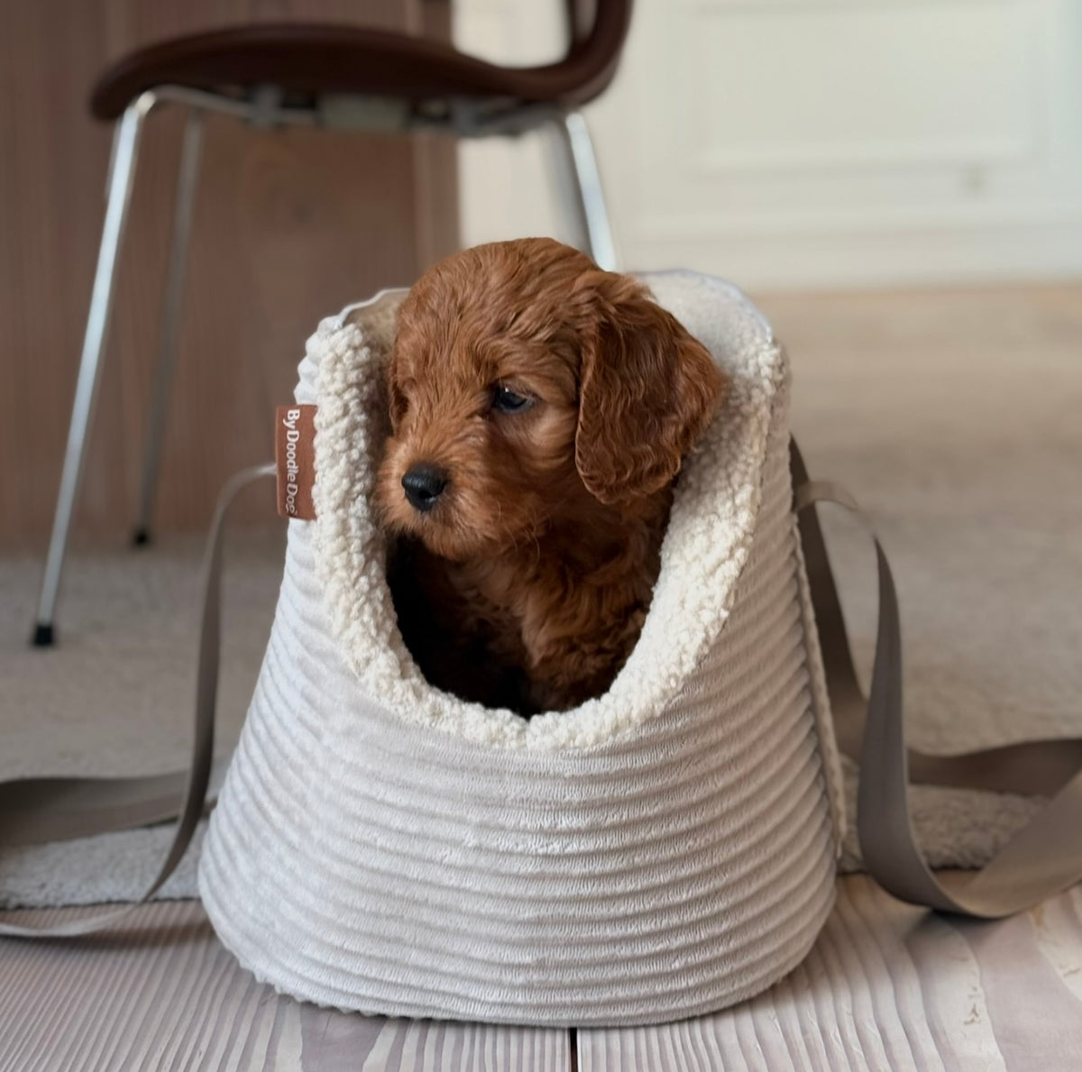 Ingeborg beige transporttaske til lille hund med fast bund