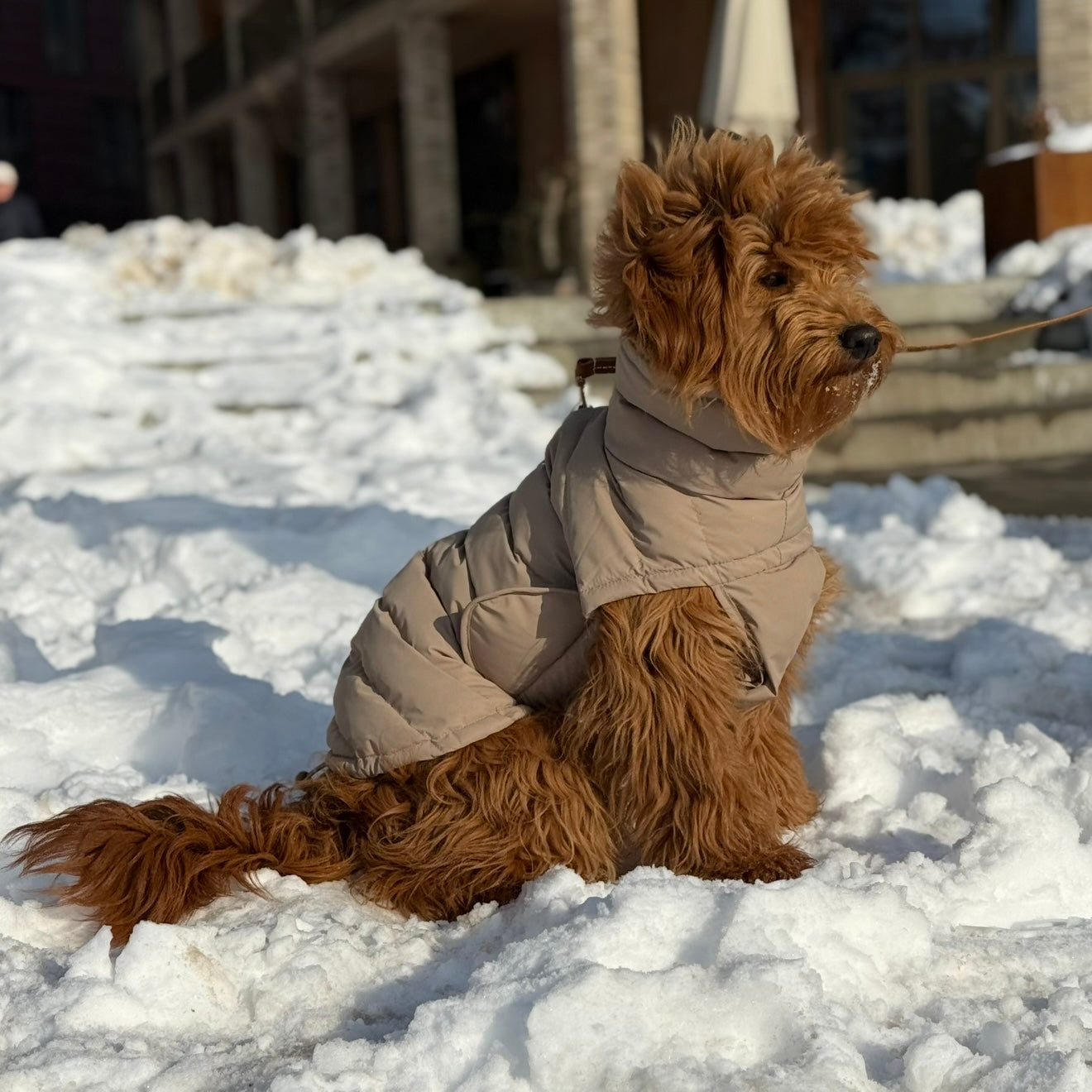 By Doodle Dogs Eva hundejakke vinter / beige