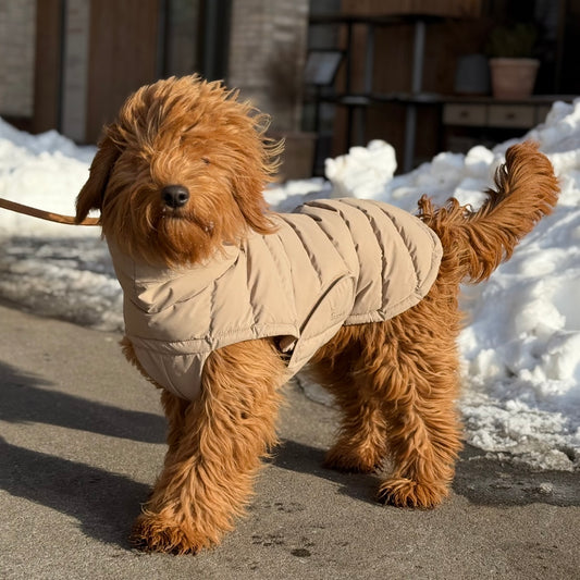 By Doodle Dogs Eva hundejakke vinter / beige